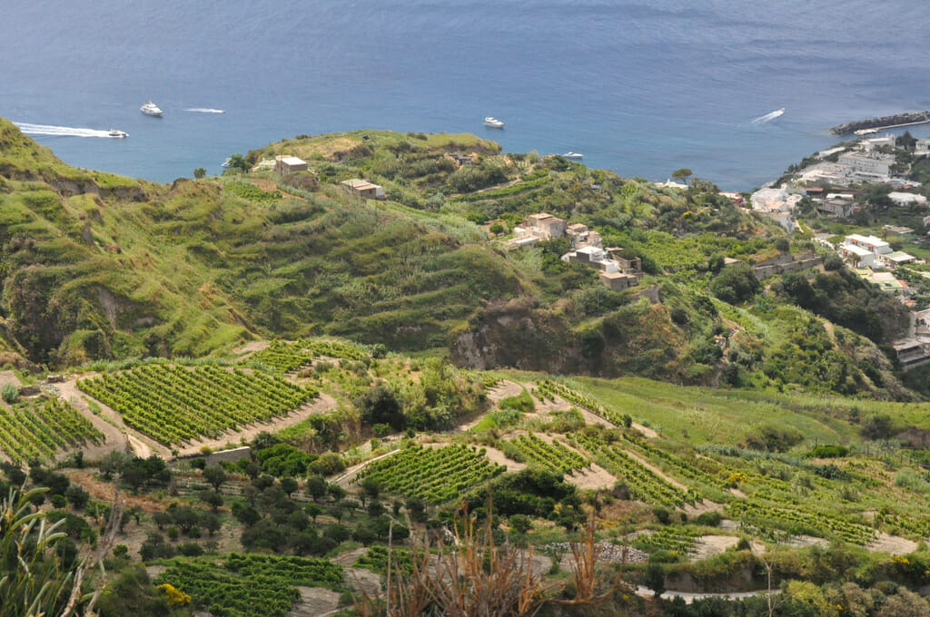 Vineyards of Ischia Top places to visit in Italy