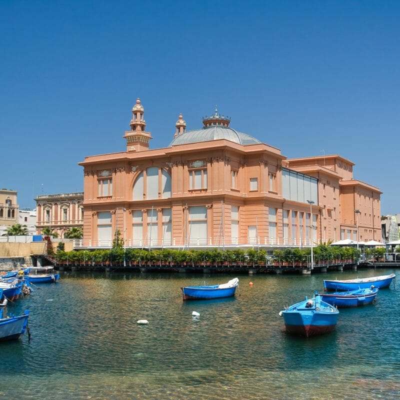 bari new