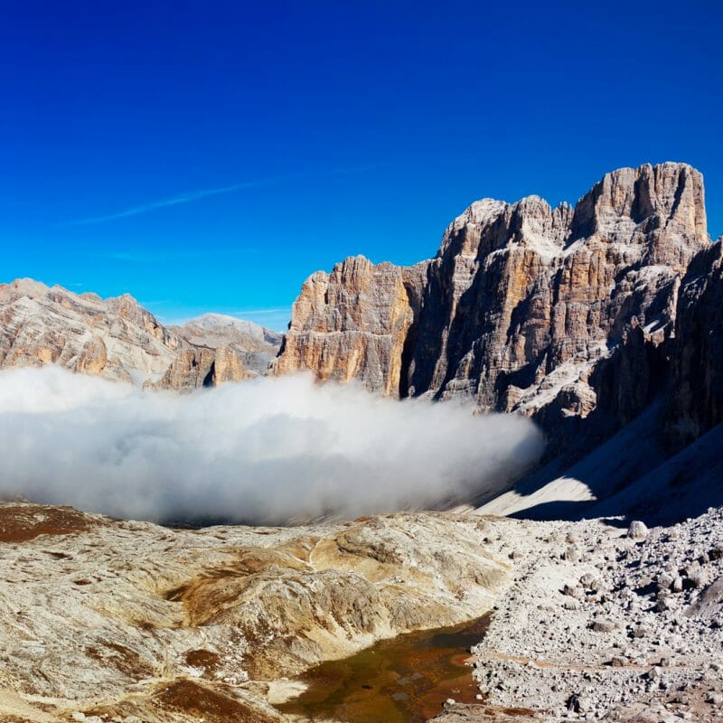 cortina new