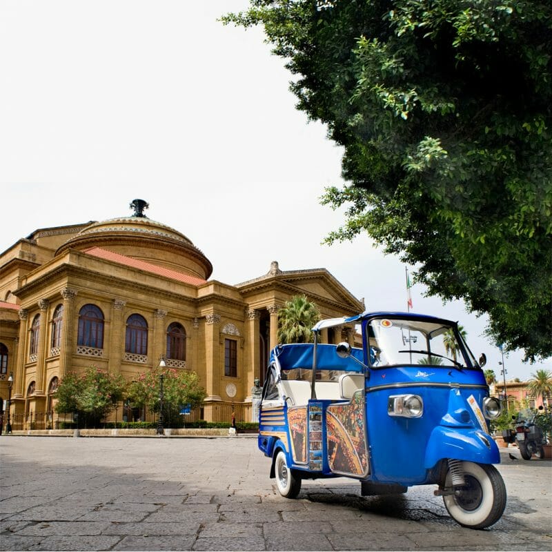 palermo new