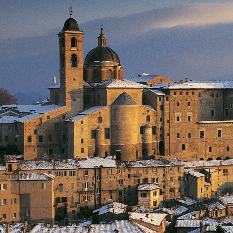 urbino new